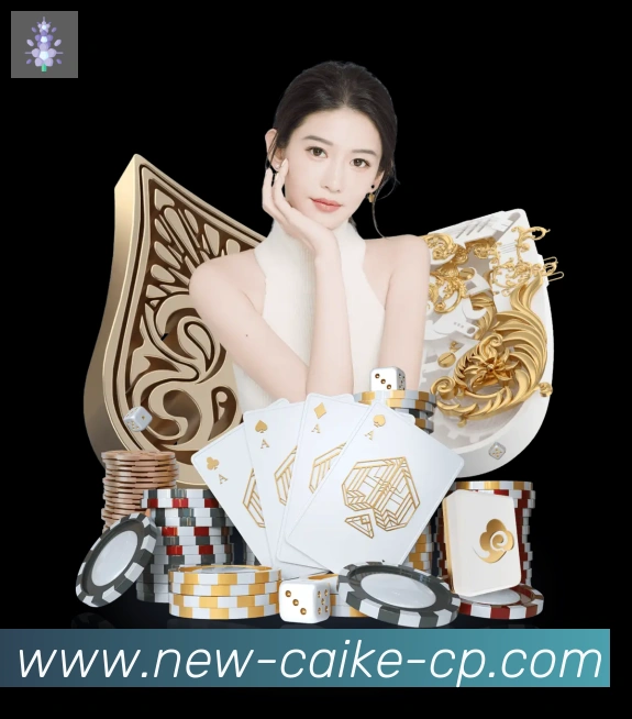 未来规划